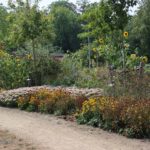 Park De Weijer