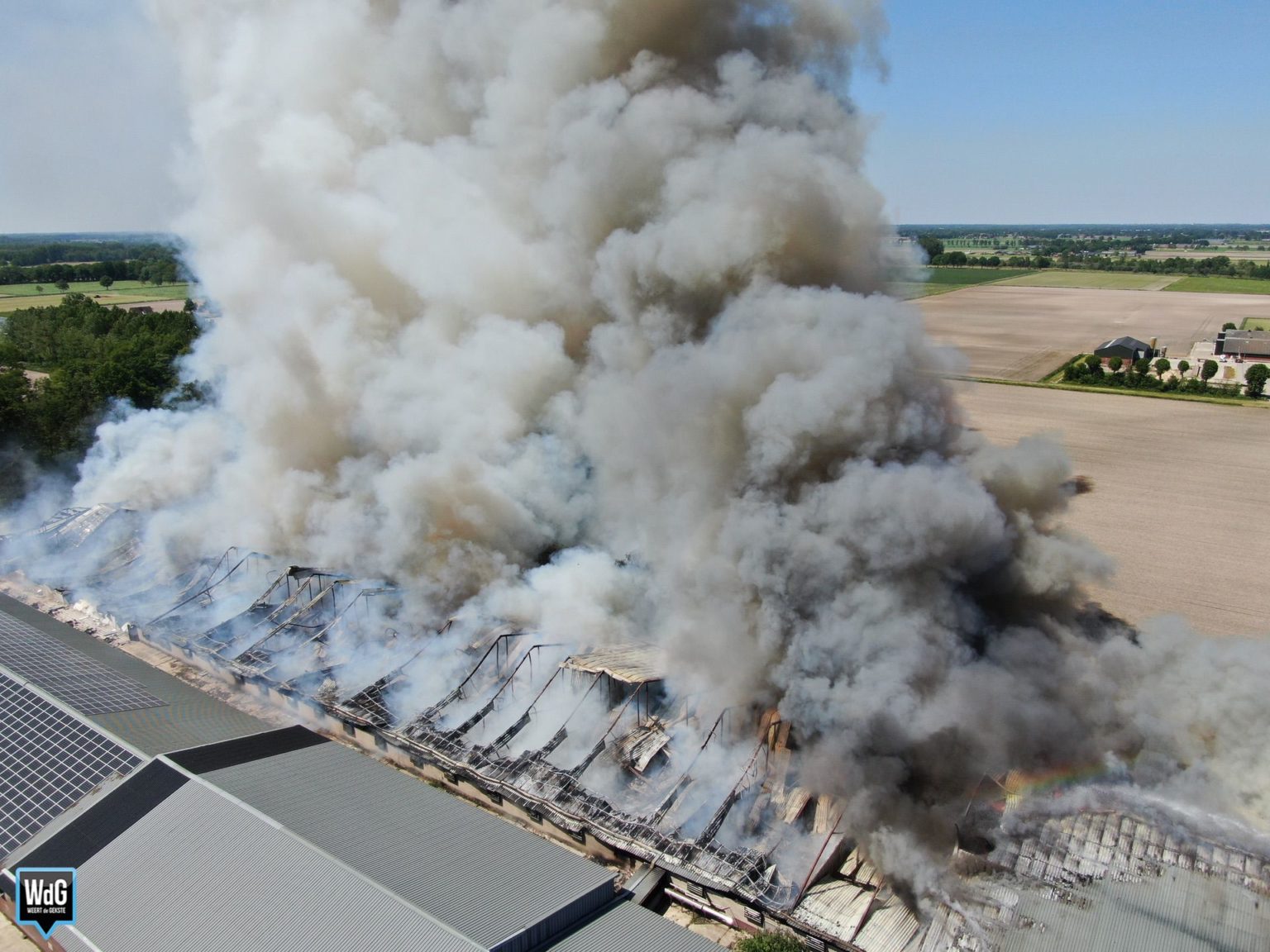 Grote stalbrand in Nederweert