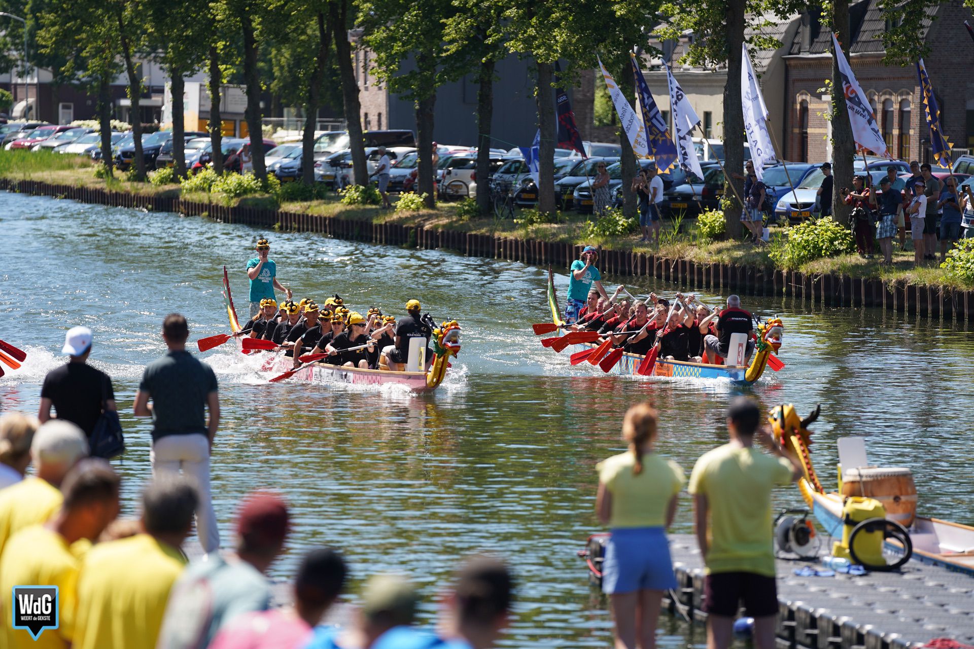 Drakenbootfestival Weert in 2019