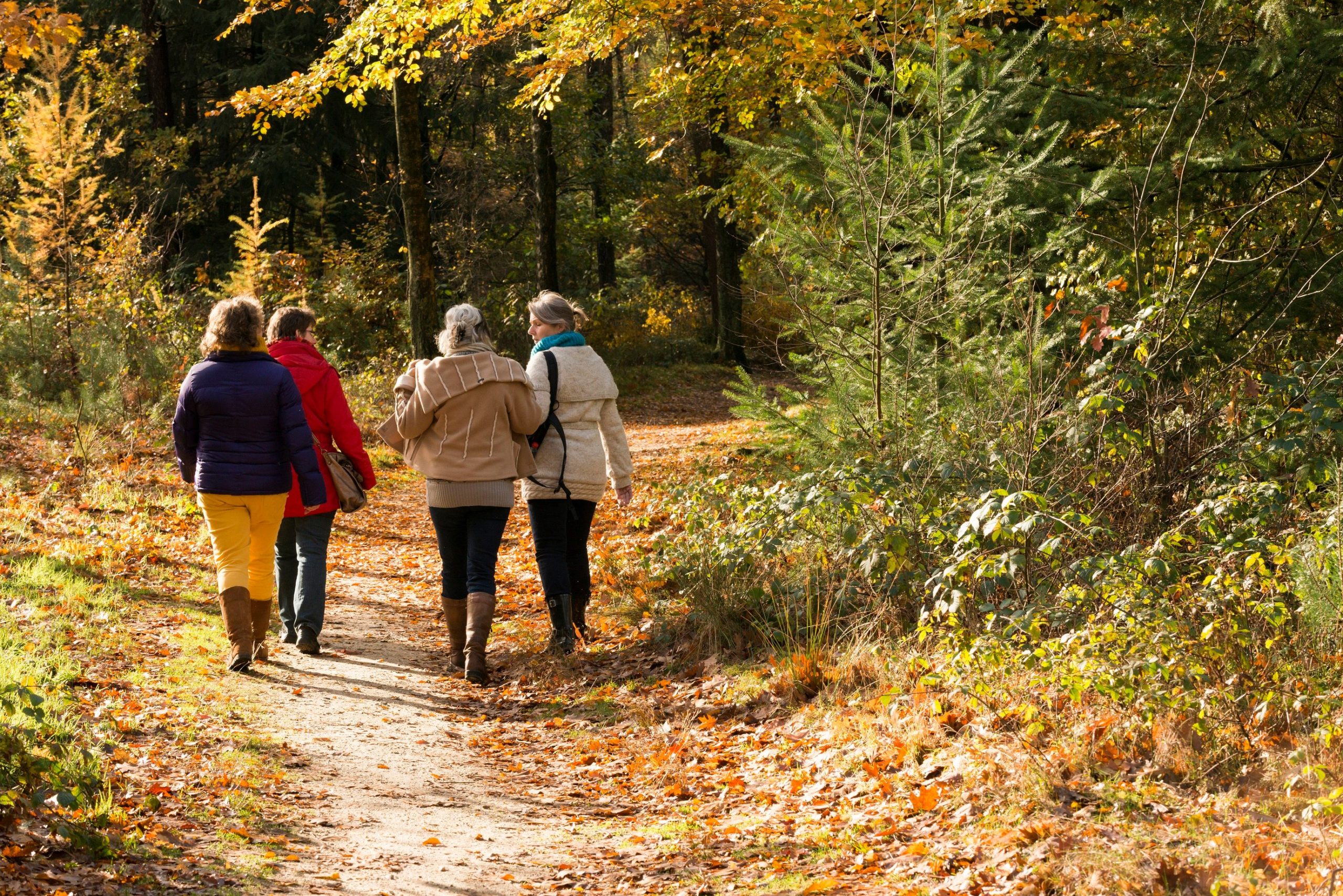 Herfstwandeling AV Weert