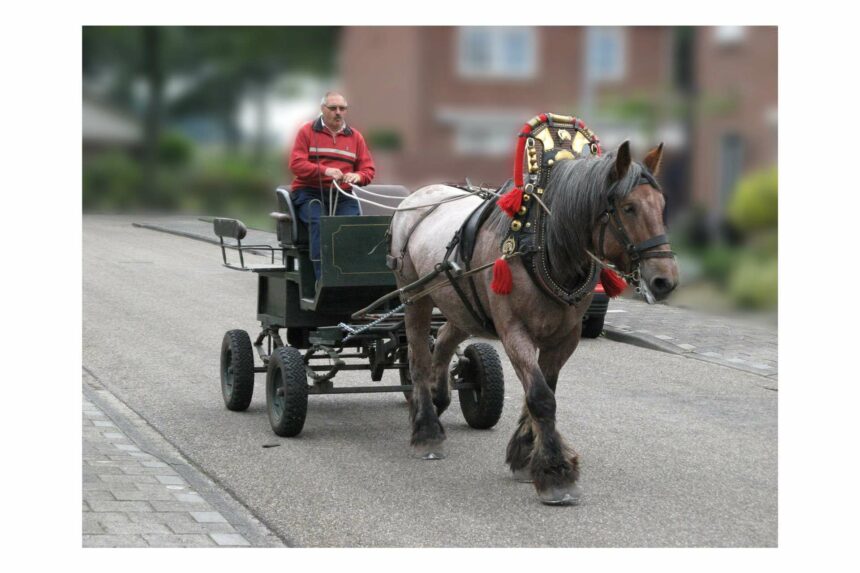 overlijdensbericht Archieven - Weertdegekste.nl
