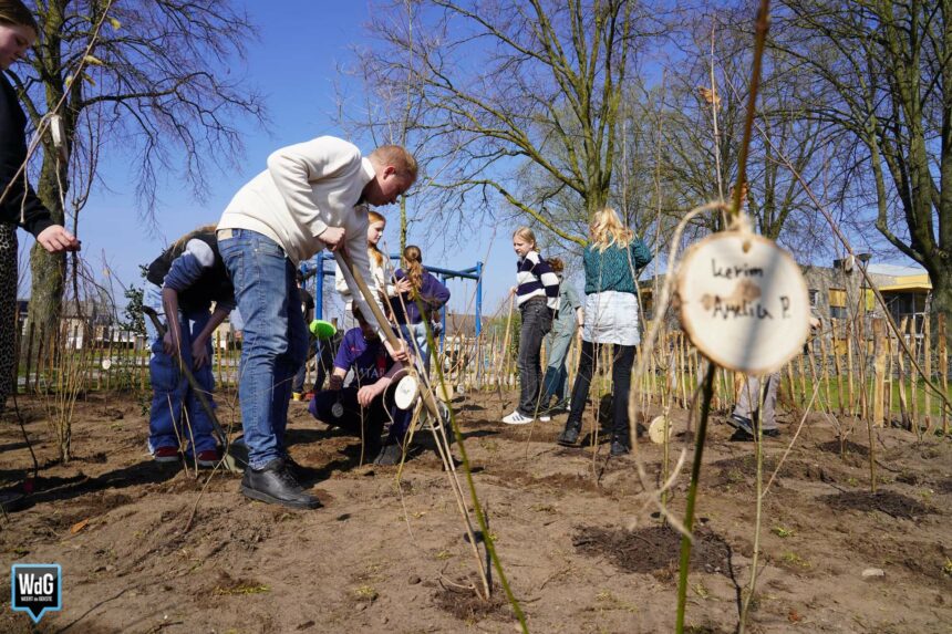Leerlingen planten Tiny Forest naast school in Stramproy