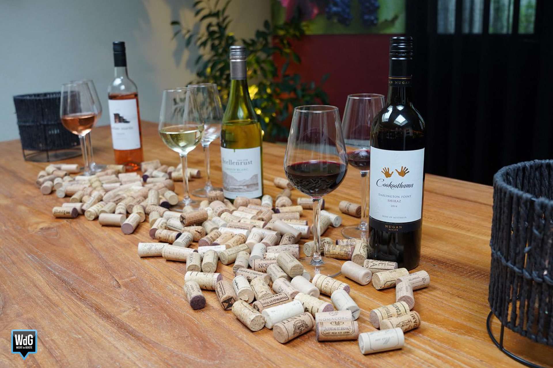 Wine & Cheese-tasting