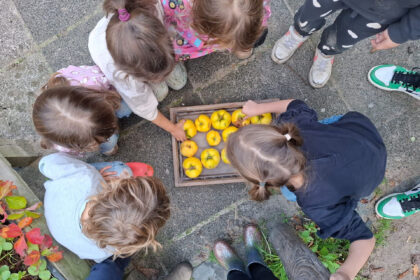 Vrijeschool Waldorf Wertha