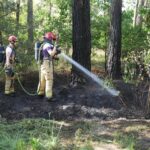 Brandweer dooft bermbrand net over de grens bij Budel