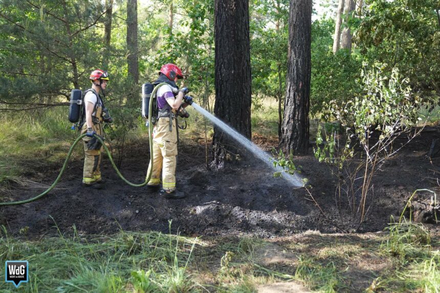 Brandweer dooft bermbrand net over de grens bij Budel