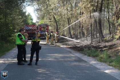Natuurbranden op verschillende locaties aan Bergbosweg in Budel