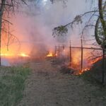 Bosbrand aan rand van vakantiepark Weerterbergen