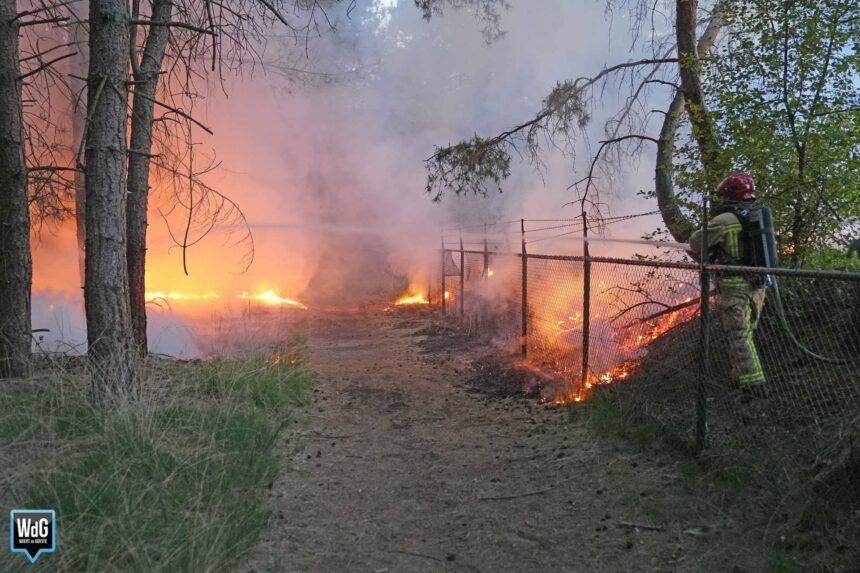 Bosbrand aan rand van vakantiepark Weerterbergen