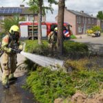 Straatplantsoen in Ell vat vlam tijdens wegbranden onkruid