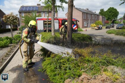 Straatplantsoen in Ell vat vlam tijdens wegbranden onkruid