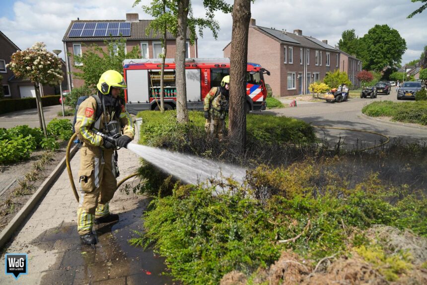 Straatplantsoen in Ell vat vlam tijdens wegbranden onkruid
