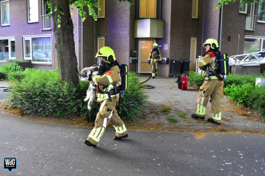 Brand in wooncomplex Nederweert