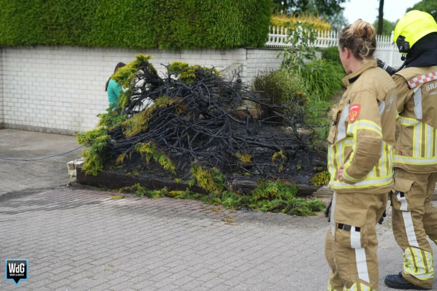 Struikgewas vat vlam op de Pannenweg in Nederweert