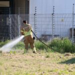Buitenbrandje op Groenewoud snel onder controle