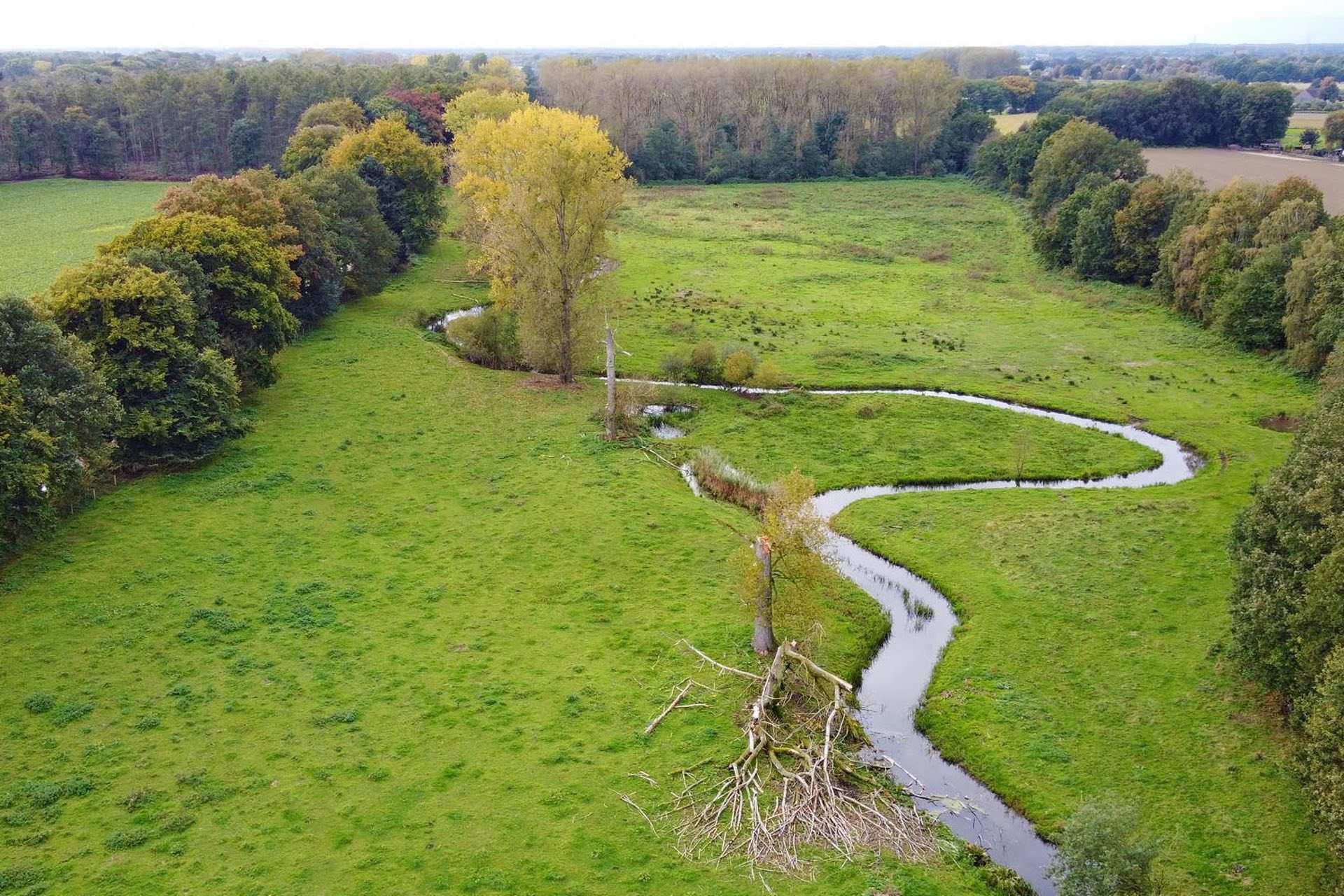 excursie Landgoed Exaten en Haelens beekdal