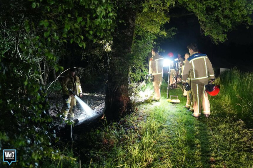 Kleine natuurbrand bij hangplek in Budel