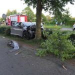 Auto raakt van de weg en botst tegen boom op N280 bij Baexem