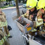 Brandweer redt jonge vogels uit dakrand in Neerstraat
