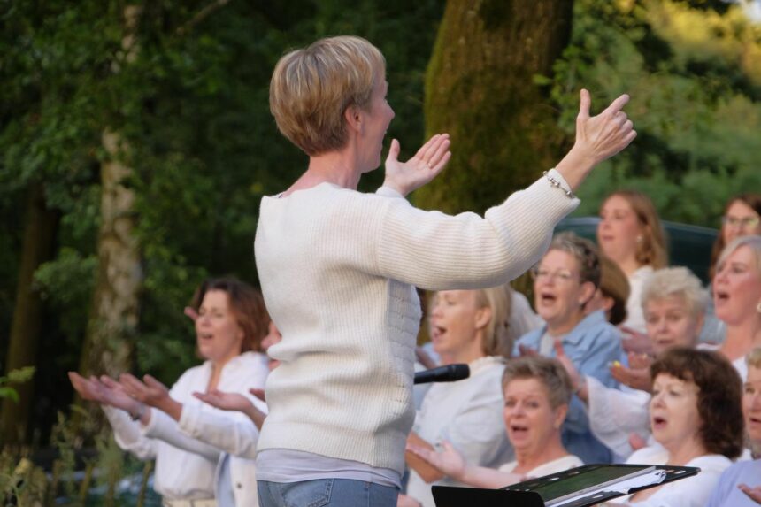 Afscheidsconcert Veerle Henkens