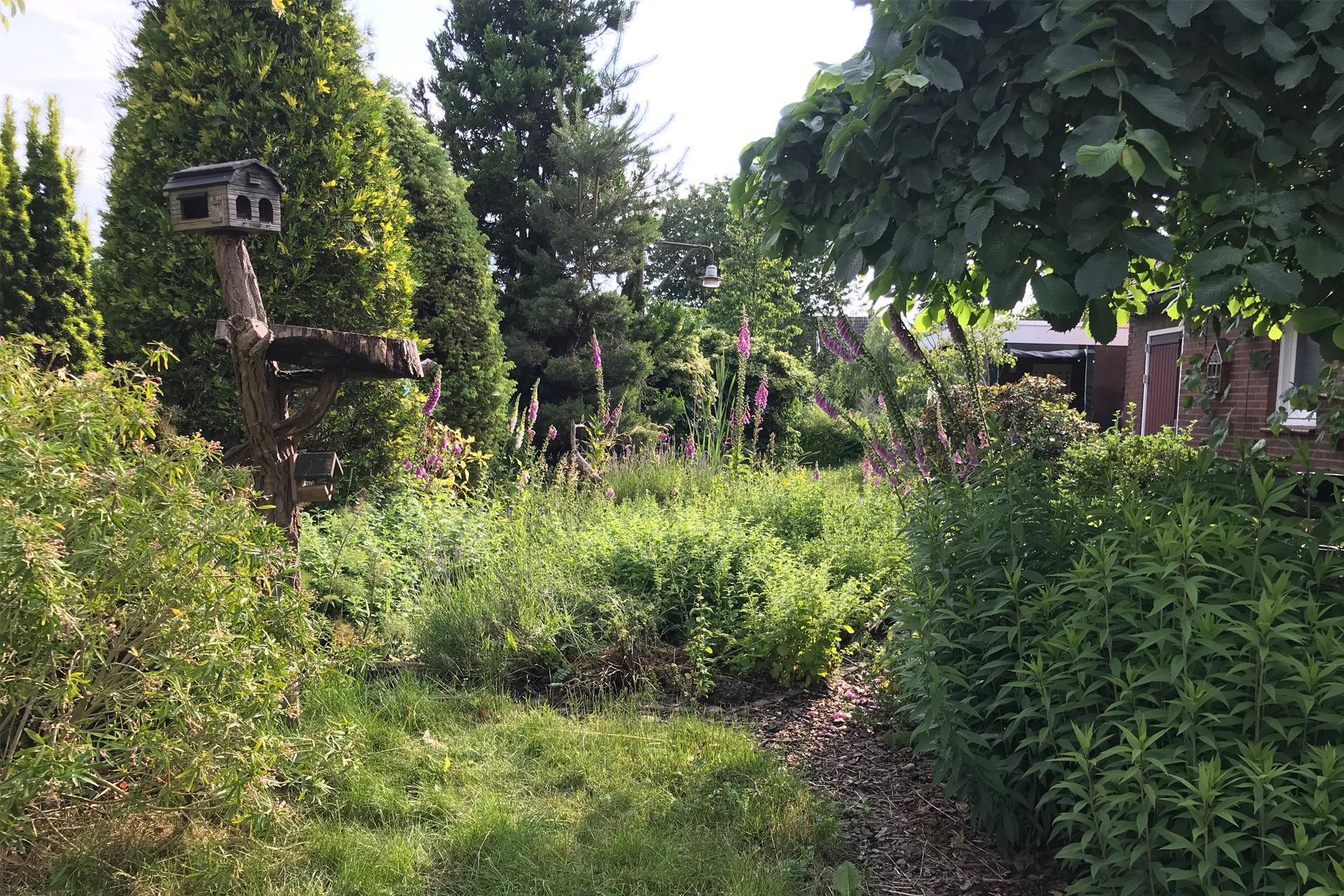Praatje Warm Wonen in Weert