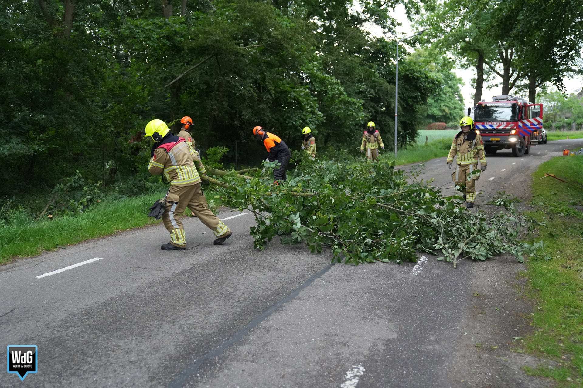Omgevallen boom op Tuurkesweg in Tungelroy