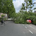 Boom valt op auto aan Sint Jozefslaan