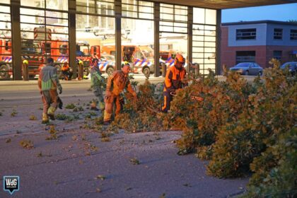 Brandweer verwijdert omgevallen boom voor eigen kazerne
