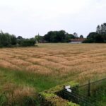 Plan voor 59 woningen in Tungelroy krijgt steun gemeente