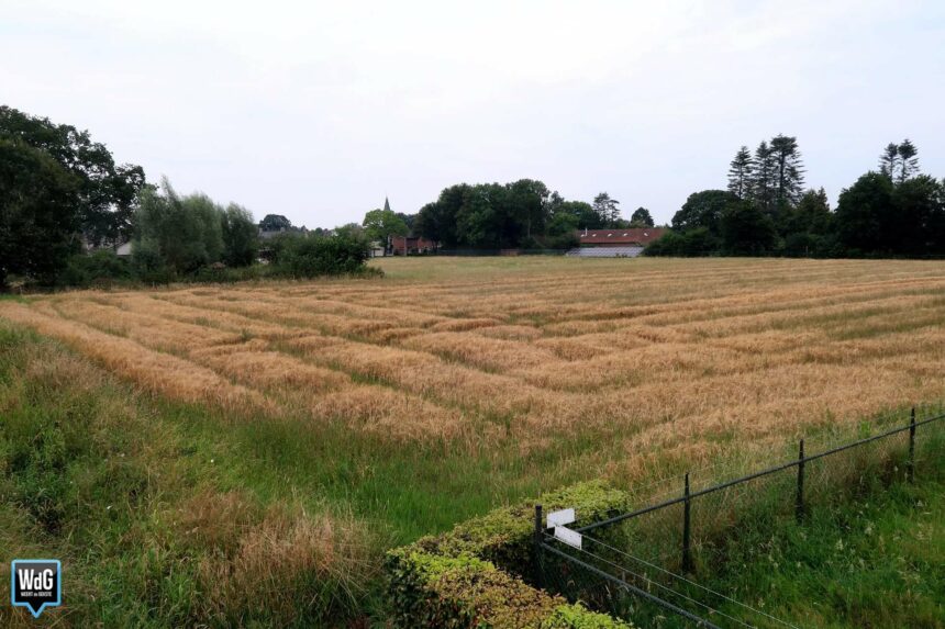 Plan voor 59 woningen in Tungelroy krijgt steun gemeente