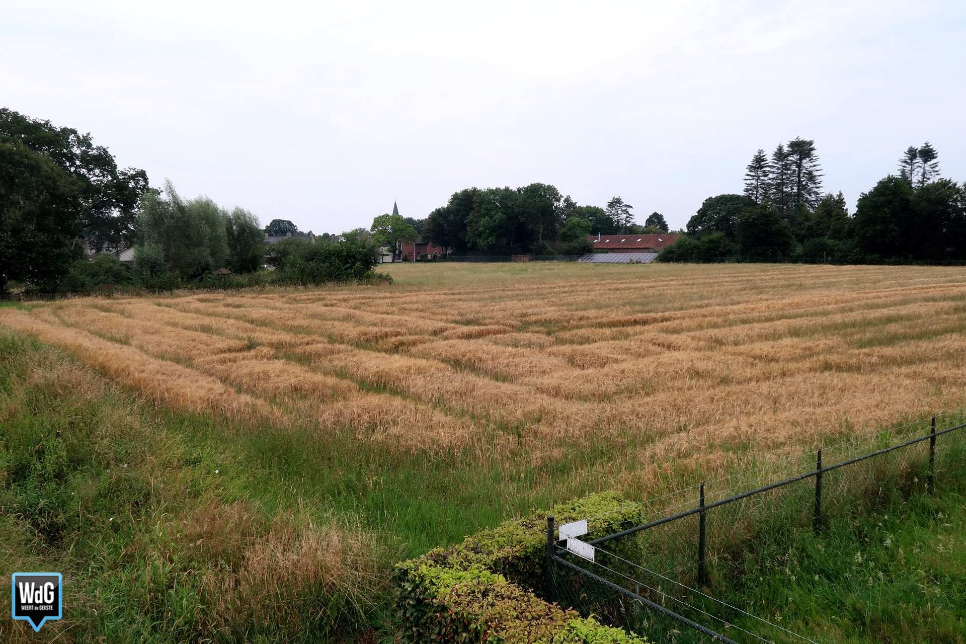 Plan voor 59 woningen in Tungelroy krijgt steun gemeente