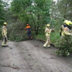 Brandweer verwijdert omgevallen boom op Vetpeelweg