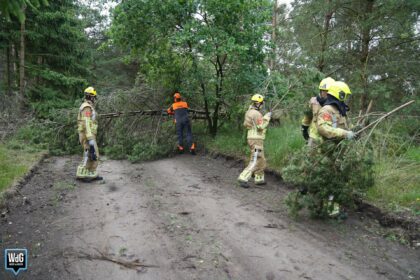 Brandweer verwijdert omgevallen boom op Vetpeelweg