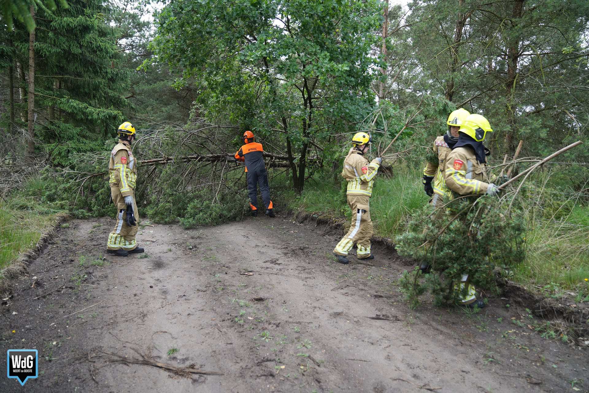 Brandweer verwijdert omgevallen boom op Vetpeelweg