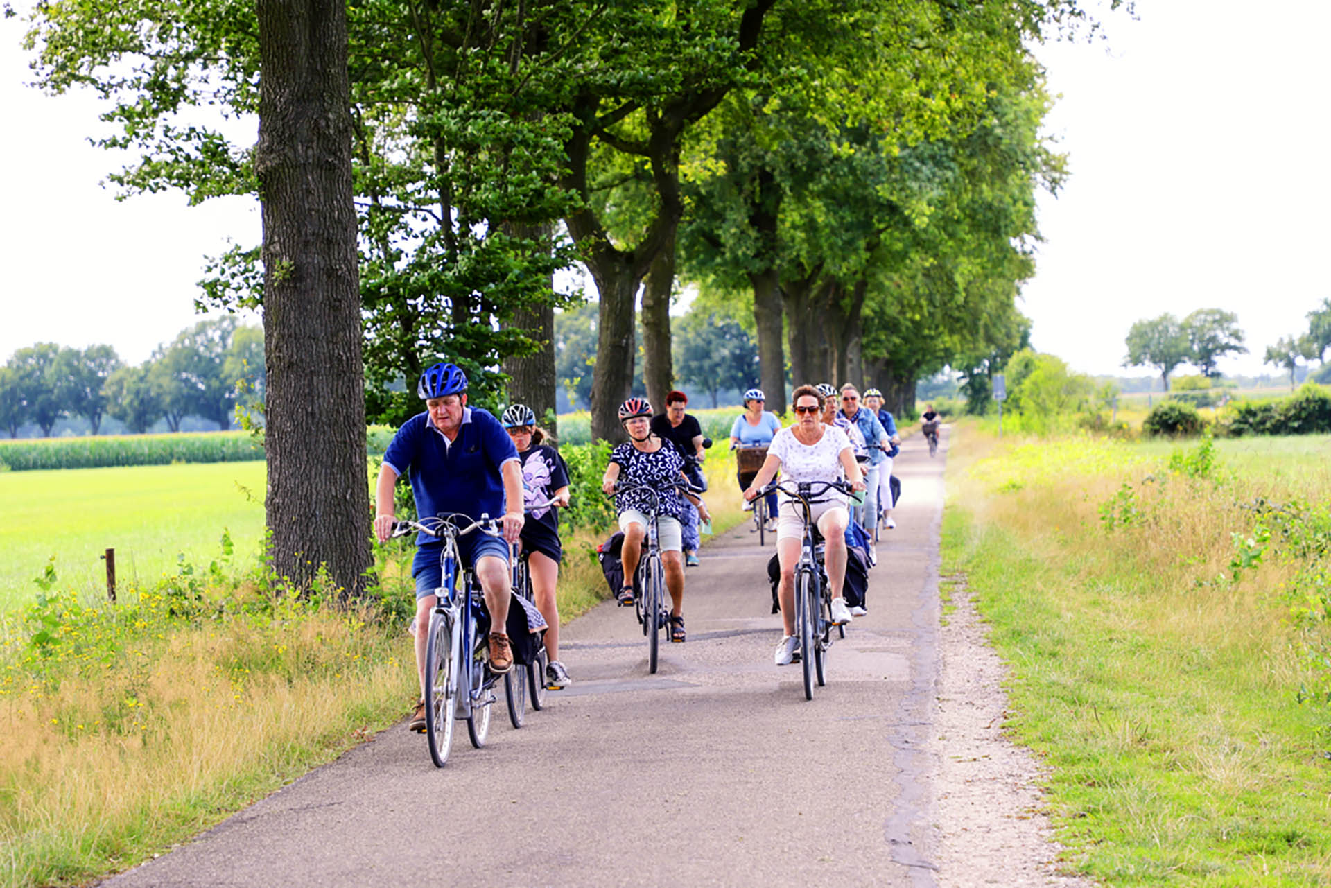 Fiets4Daagse De Peel Start Op 8 Juli In Meijel