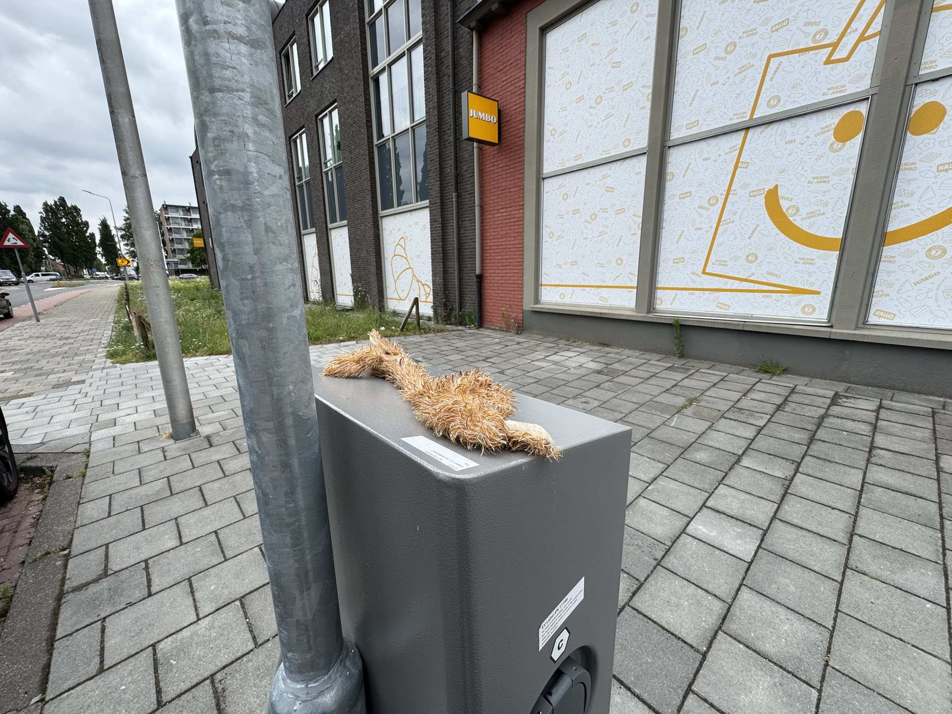 Gevonden: knuffeldier op Roermondseweg