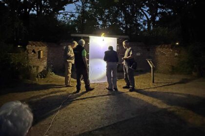 Kom kijken naar nachtvlinders in de tuin van het NMC