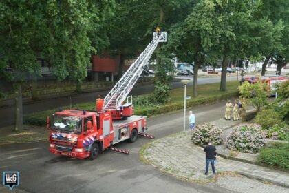 Brandweer verwijdert afgebroken tak op Oranjeplein