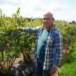 Blauwe Bessen Bedrijf Heldens