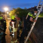 Brandweer dooft nachtelijk brandje in achtertuin