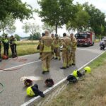 Automobilist overleden na botsing tegen boom in Heel