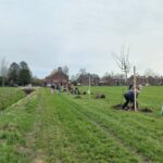 Limburg Mooier Groen