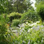 Natuur- en Milieucentrum