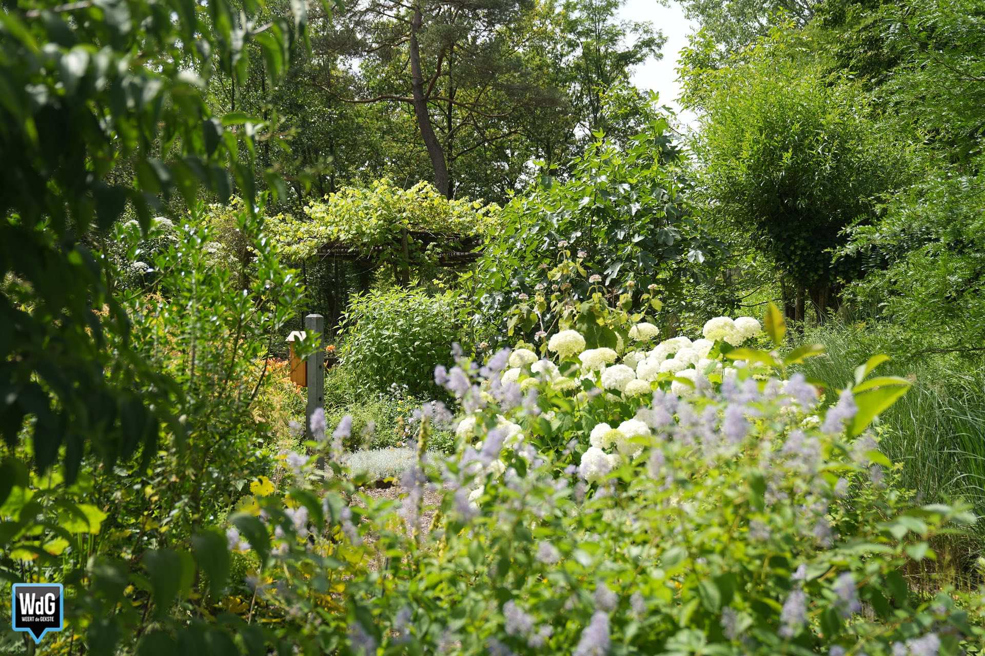 Natuur- en Milieucentrum