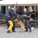 Avondje uit voor politiehonden op terras in Weert