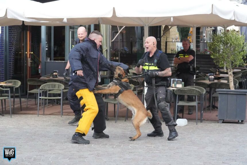 Avondje uit voor politiehonden op terras in Weert