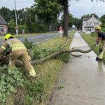 Brandweer verwijdert tak op Roermondseweg