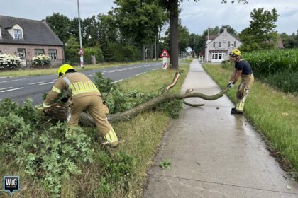 Brandweer verwijdert tak op Roermondseweg