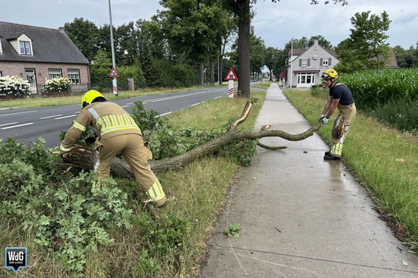 Brandweer verwijdert tak op Roermondseweg