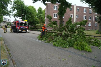 Tak breekt af aan Victor de Stuersstraat